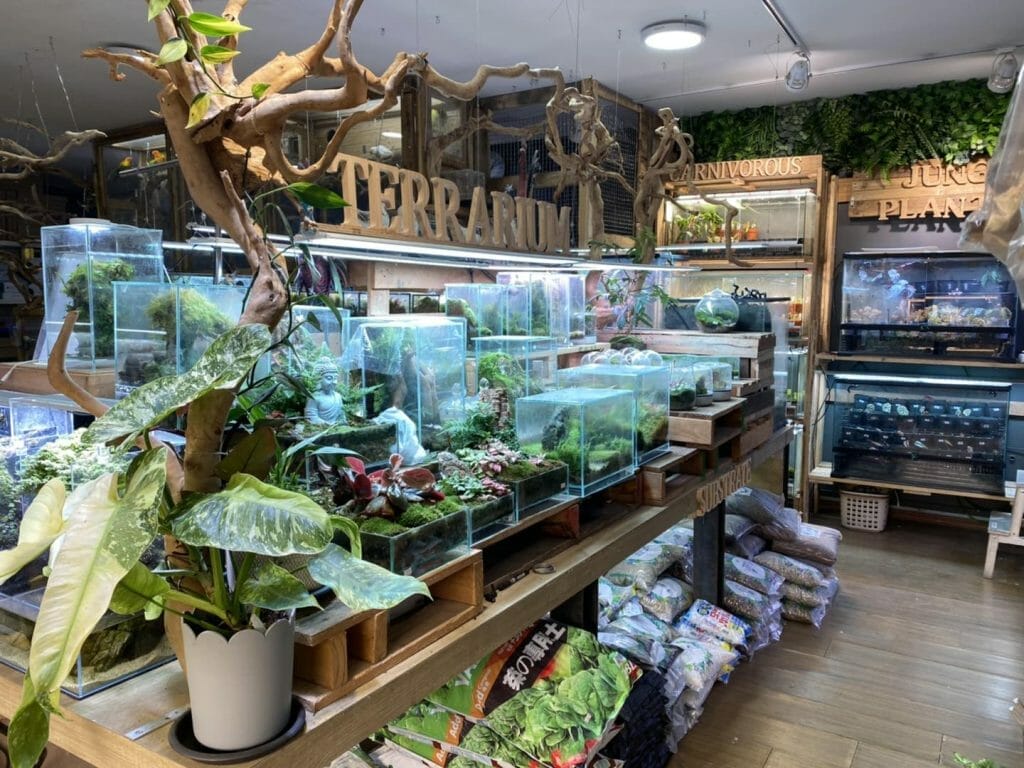 Top 22 Best Aquariums and Fish Tank Shops in Singapore