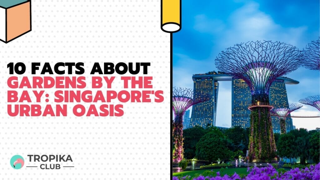 10 Facts About Gardens by the Bay: Singapore's Urban Oasis