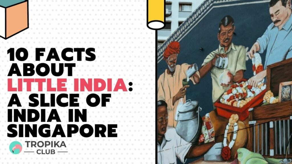 10 Facts About Little India: A Slice of India in Singapore