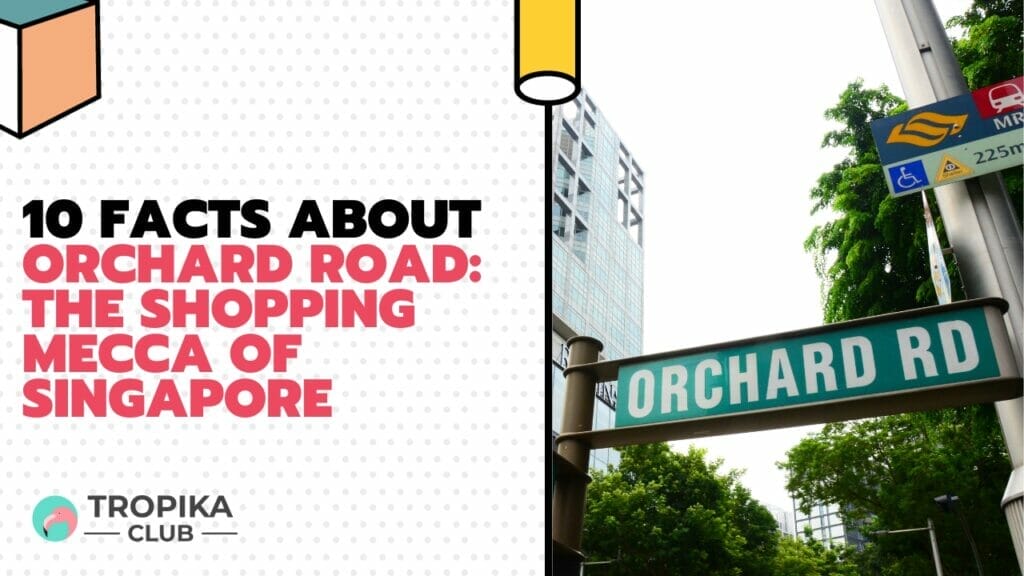 10 Facts About Orchard Road: The Shopping Mecca of Singapore