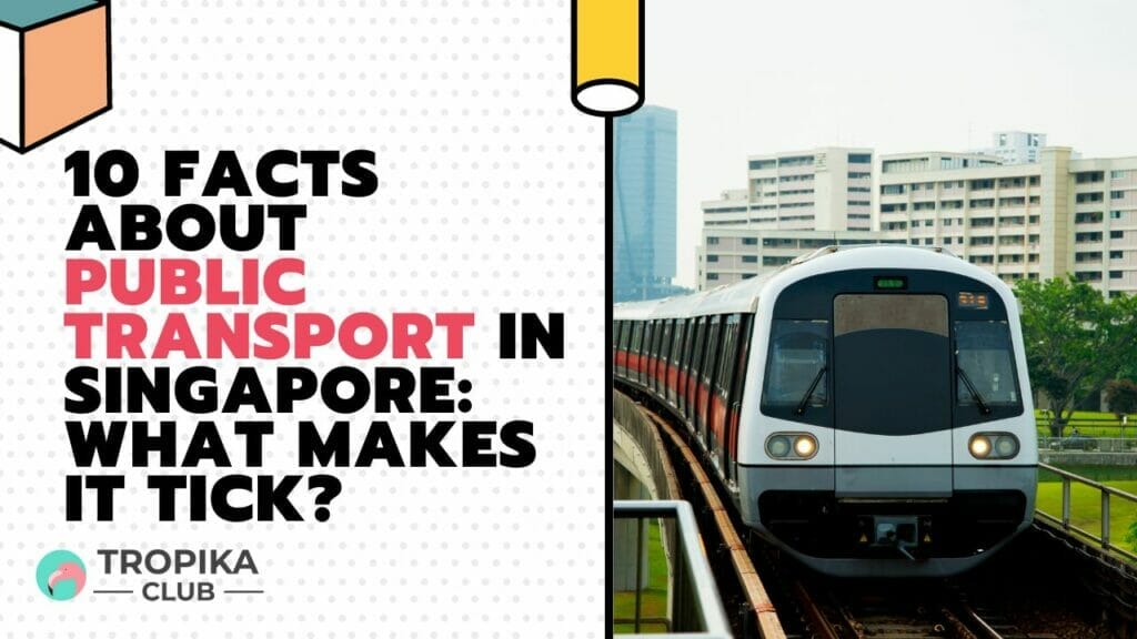 10 Facts About Public Transport in Singapore What Makes It Tick?