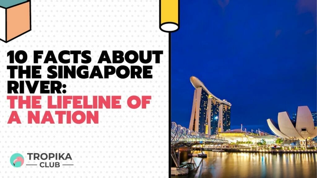 10 Facts About the Singapore River: The Lifeline of a Nation