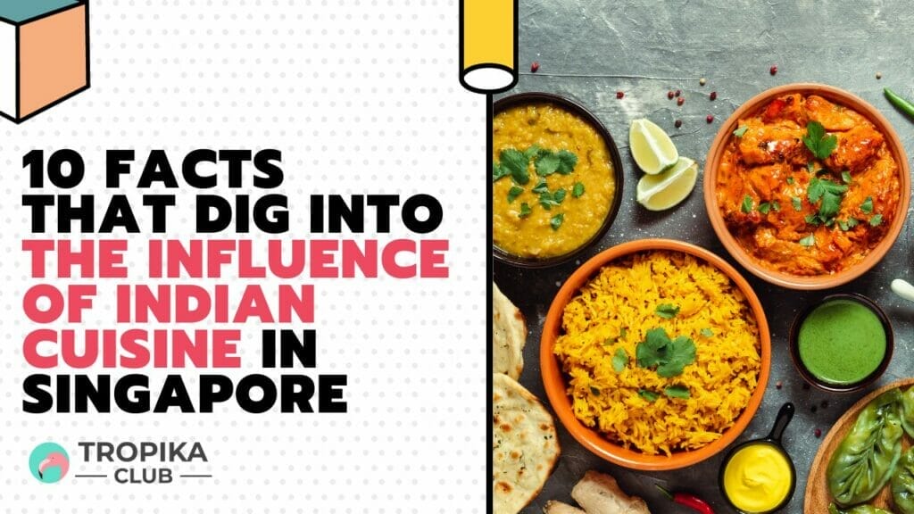 10 Facts That Dig Into the Influence of Indian Cuisine in Singapore