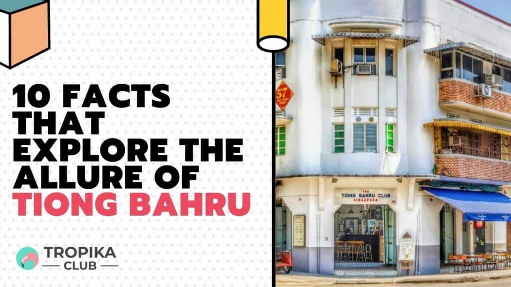 10 Facts That Explore the Allure of Tiong Bahru