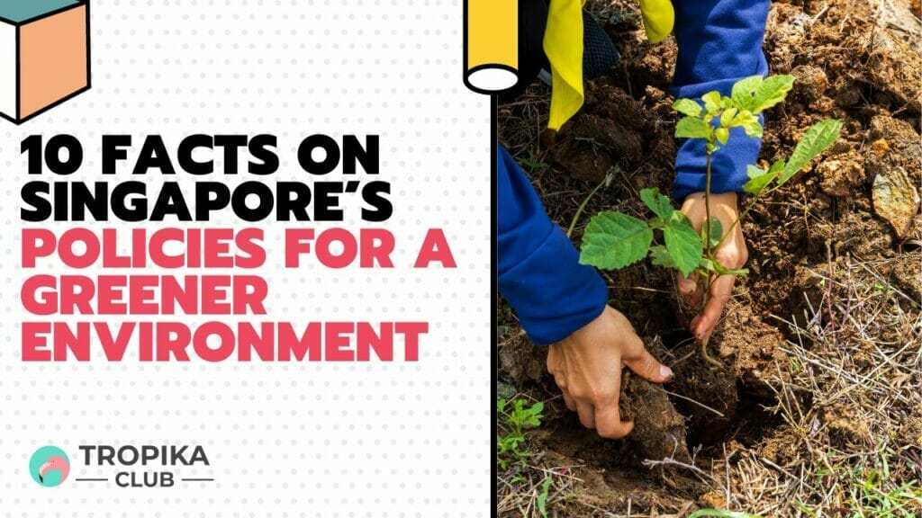 10 Facts on Singapore’s Policies for a Greener Environment