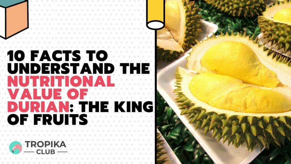 10 Facts to Understand the Nutritional Value of Durian: The King of Fruits