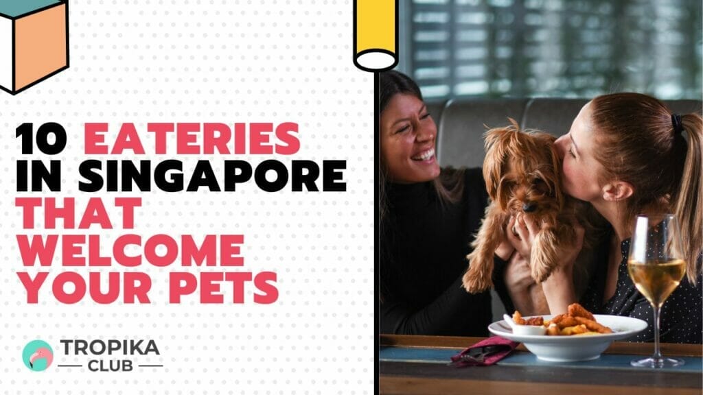 Eateries in Singapore that Welcome Your Pets