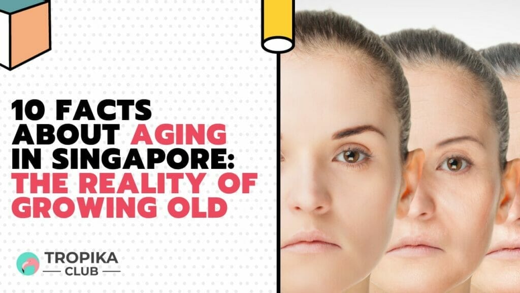 Facts About Aging in Singapore: The Reality of Growing Old