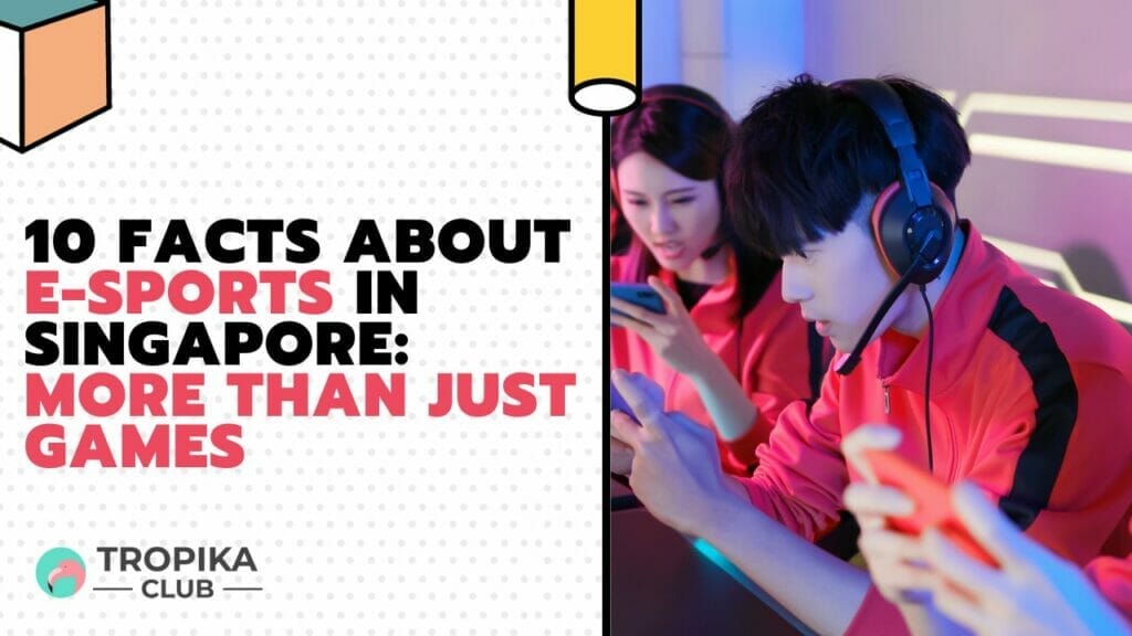 Facts About E-Sports in Singapore More Than Just Games