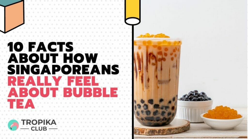 Facts About How Singaporeans Really Feel About Bubble Tea