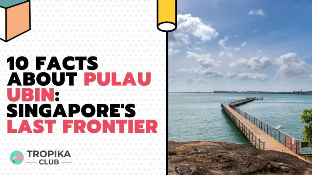 Facts About Pulau Ubin Singapore's Last Frontier