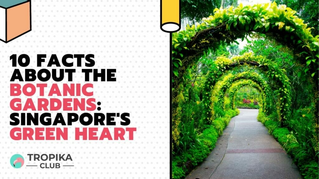 Facts About the Botanic Gardens Singapore's Green Heart
