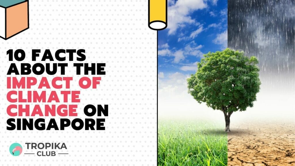 Facts About the Impact of Climate Change on Singapore