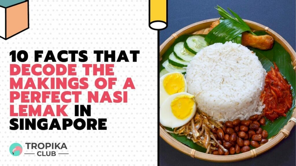 Facts That Decode the Makings of a Perfect Nasi Lemak in Singapore 