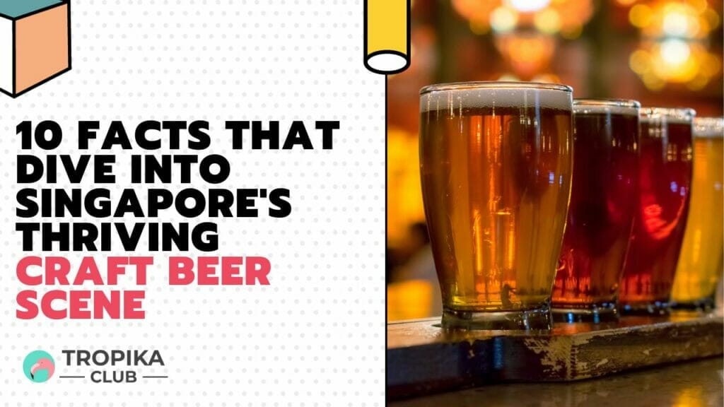 Facts That Dive Into Singapore's Thriving Craft Beer Scene