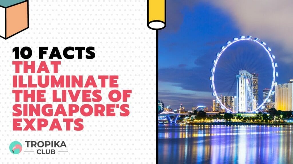 Facts That Illuminate the Lives of Singapore's Expats