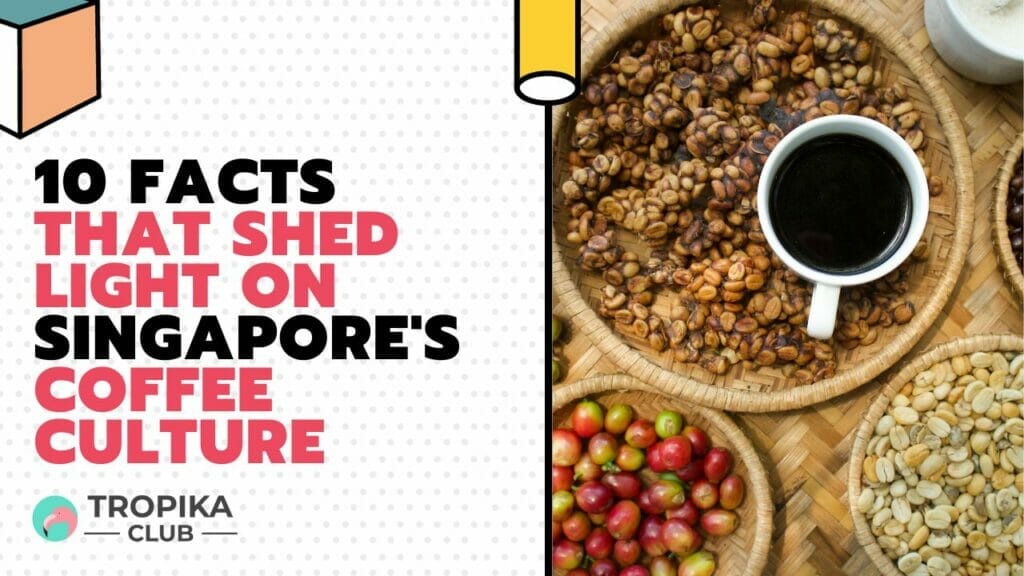 Facts That Shed Light on Singapore's Coffee Culture