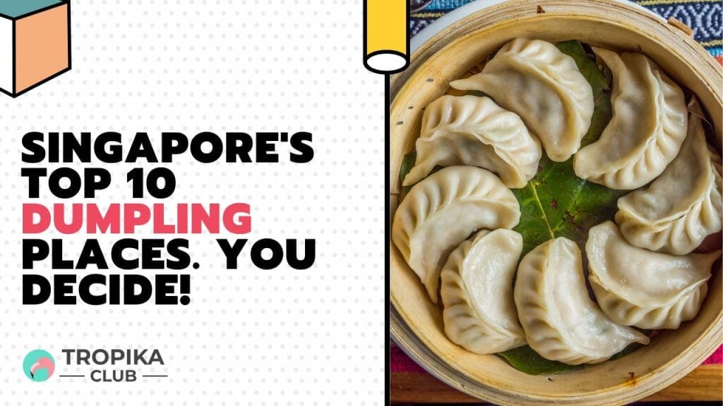 Singapore's Top 10 Dumpling Places. You Decide! 