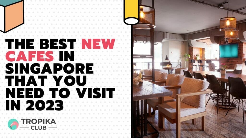 The Best New Cafes in Singapore that You Need to Visit in 2023