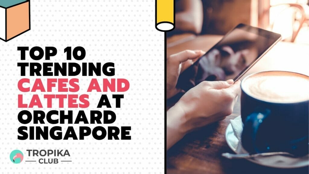 Top 10 Trending Cafes and Lattes at Orchard Singapore 