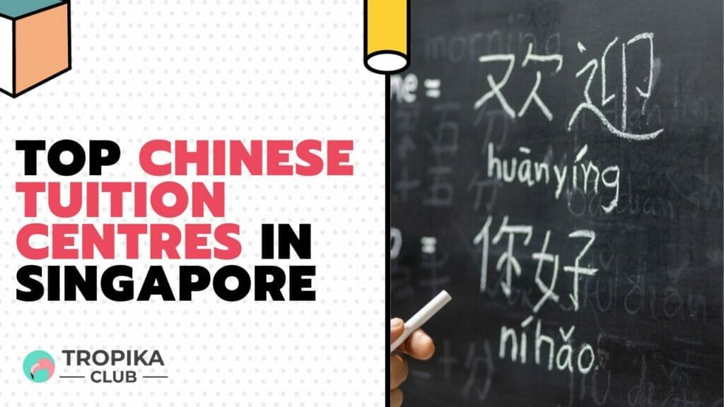 Top Chinese Tuition Centres in Singapore