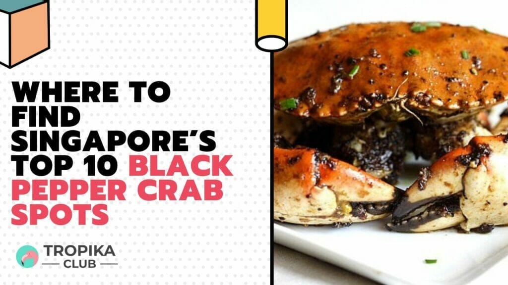 Where to Find Singapore's Top 10 Black Pepper Crab Spots?