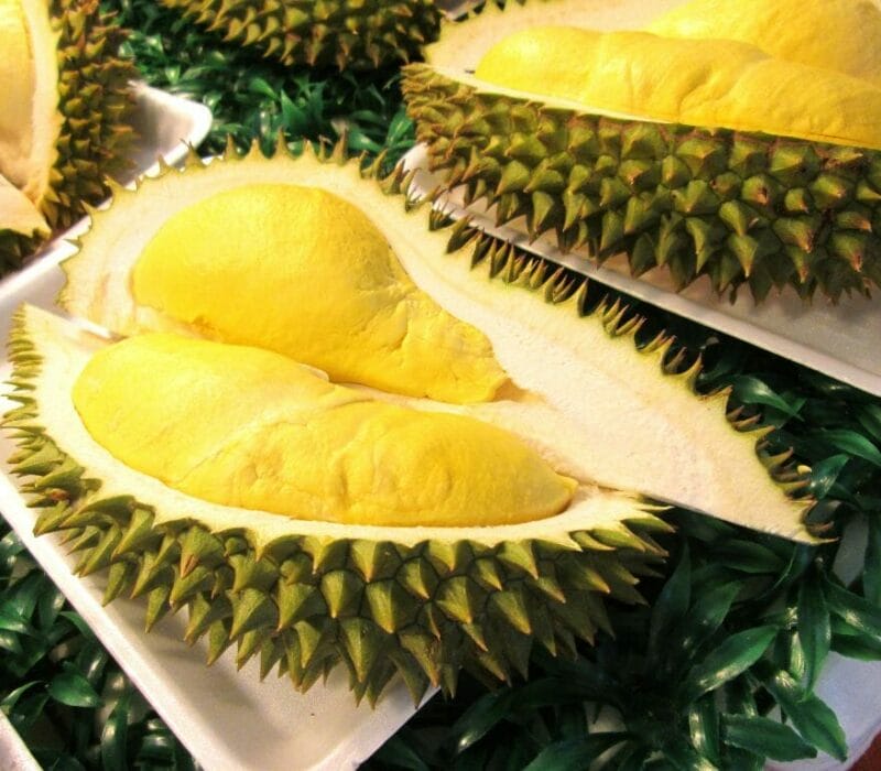 10 Facts to Understand the Nutritional Value of Durian: The King of Fruits