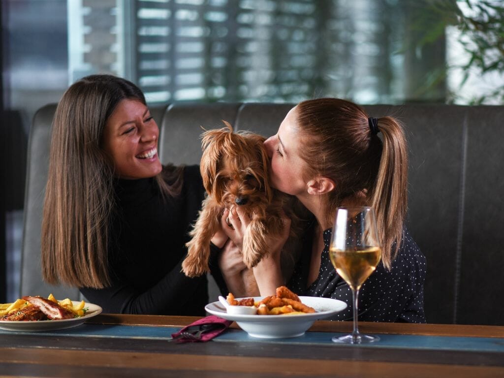 Eateries in Singapore that Welcome Your Pets