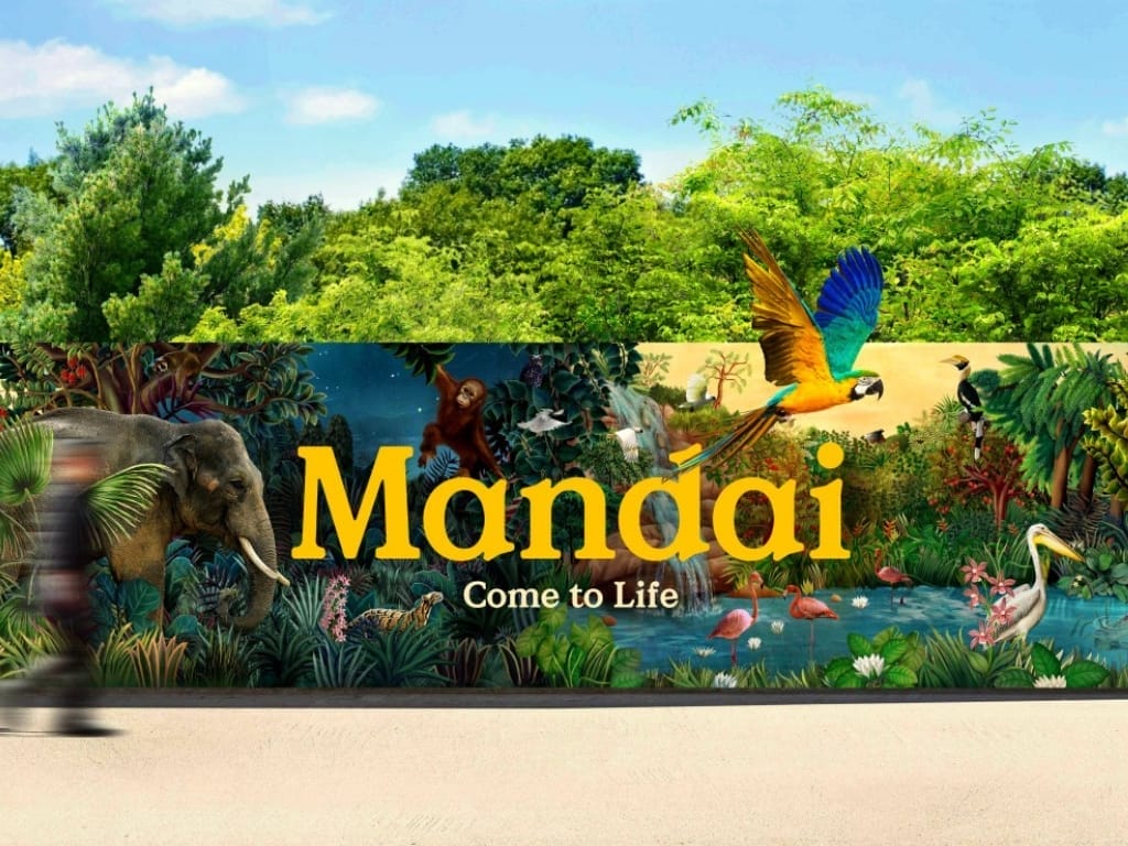 10 Interesting Facts about Mandai Zoo You Didn't Know