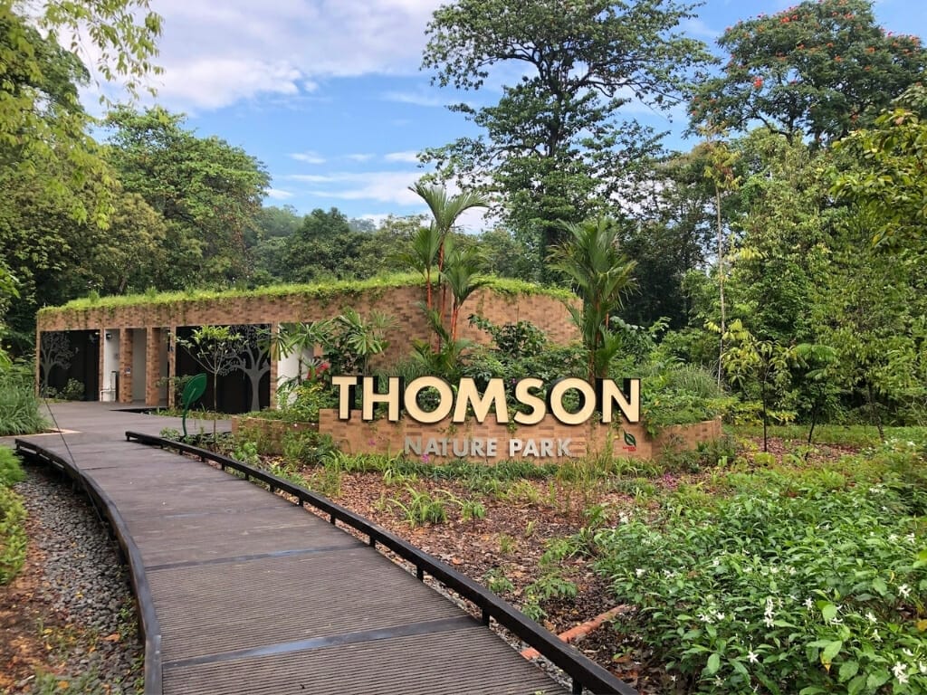 10 Interesting Facts about Thomson Road You Didn't Know