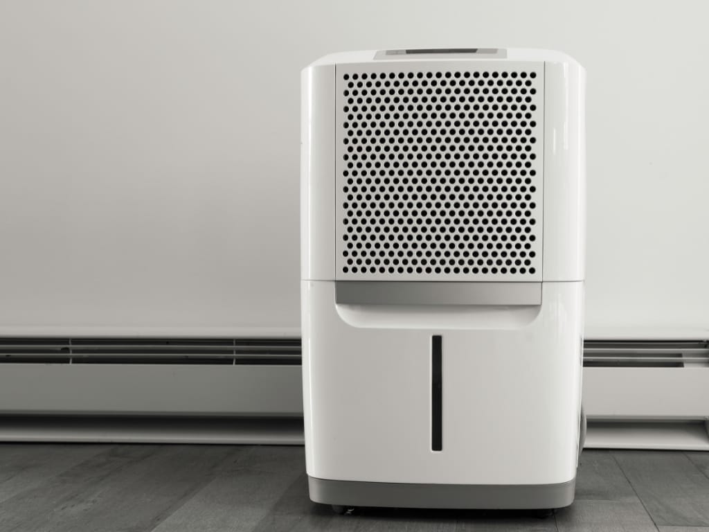 Dehumidifiers: 10 Curious Facts to Uncover