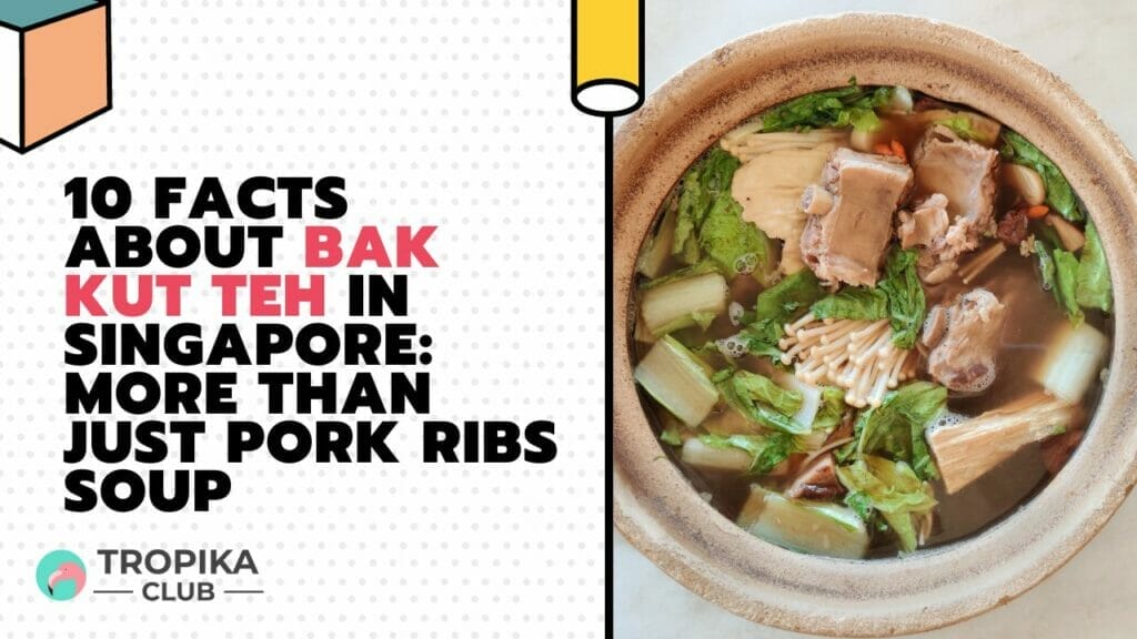 10 Facts About Bak Kut Teh in Singapore More Than Just Pork Ribs Soup