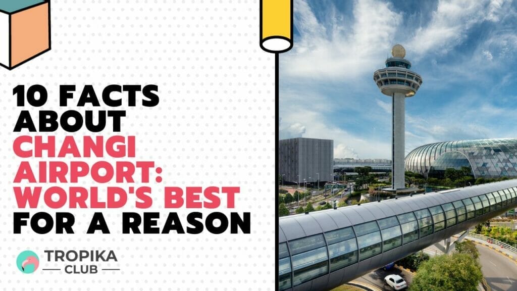 10 Facts About Changi Airport: World's Best for a Reason