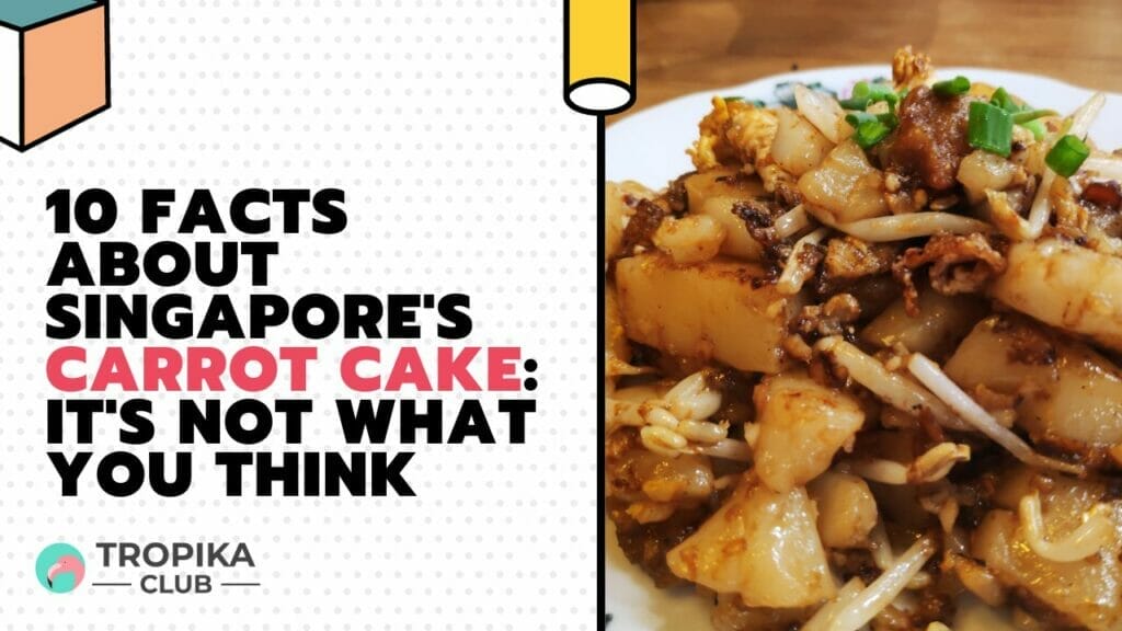 10 Facts About Singapore's Carrot Cake It's Not What You Think