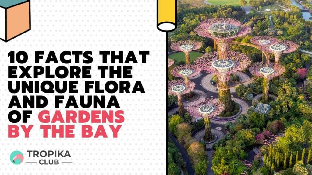 10 Facts That Explore the Unique Flora and Fauna of Gardens by the Bay