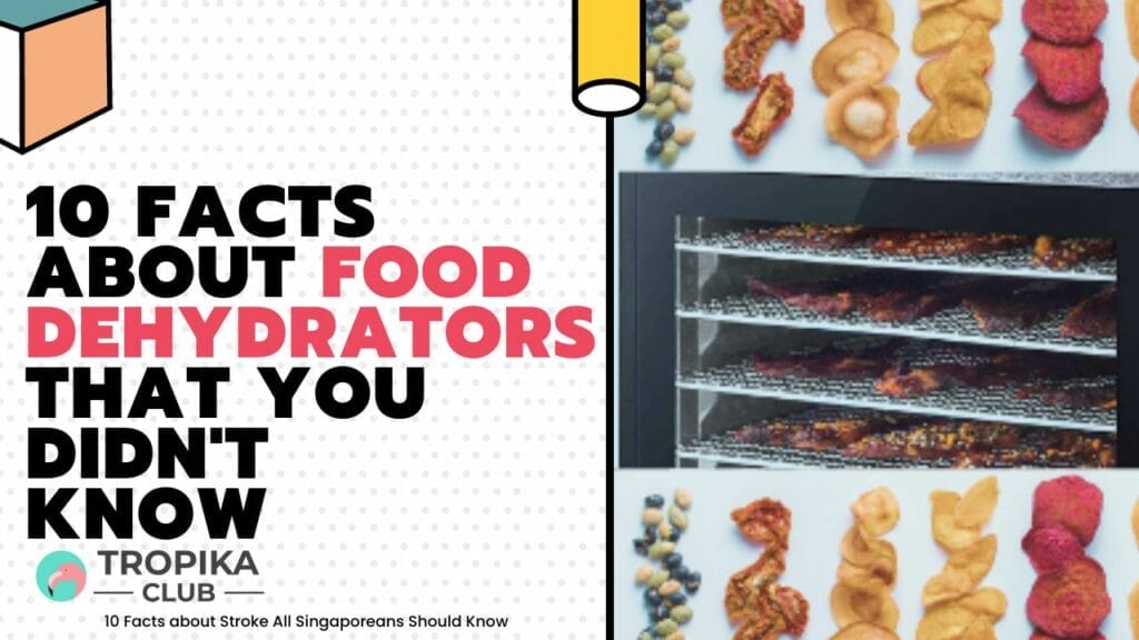 10 Facts about Food dehydrators that You Didn't Know