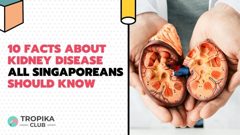 10 Facts about Kidney Disease All Singaporeans Should Know