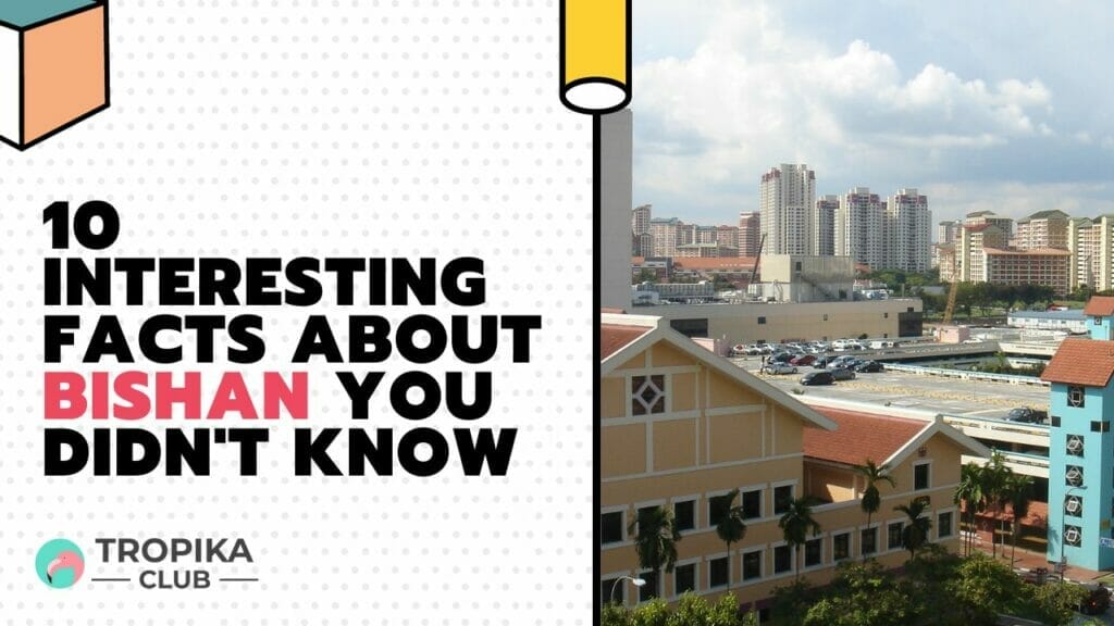 10 Interesting Facts about Bishan You Didn't Know