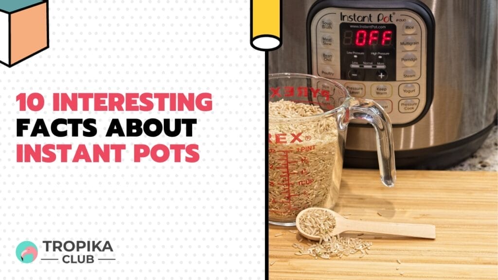 10 Interesting Facts about Instant Pots