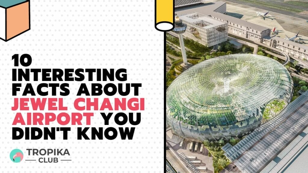 10 Interesting Facts about Jewel Changi Airport You Didn't Know