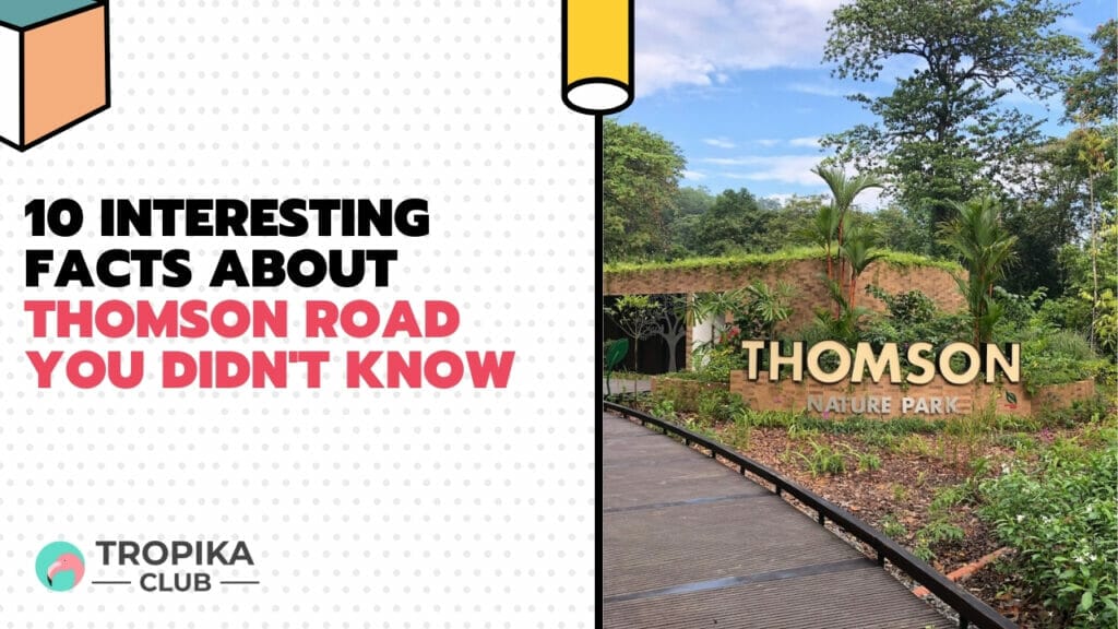 10 Interesting Facts about Thomson Road You Didn't Know