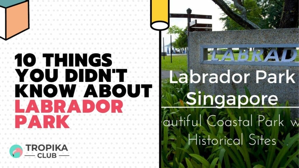 10 Things You Didn't Know About Labrador Park