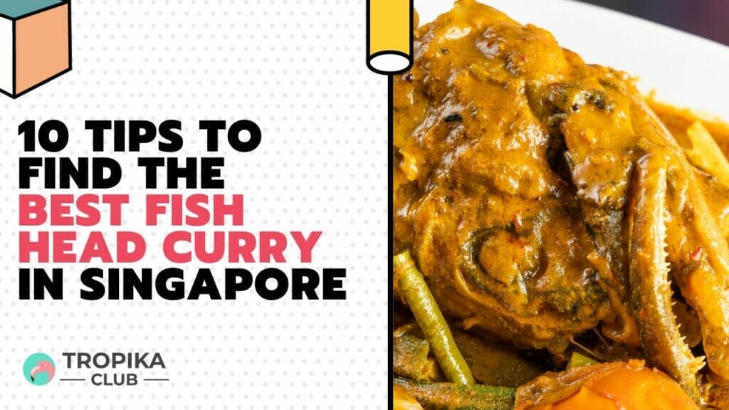 10 Tips to Find the Best Fish Head Curry in Singapore