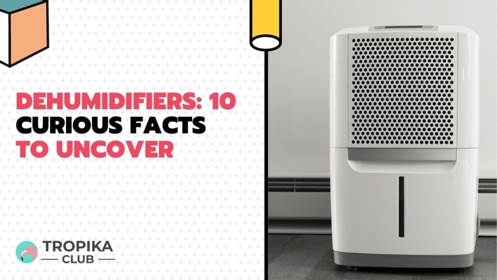 Dehumidifiers: 10 Curious Facts to Uncover 