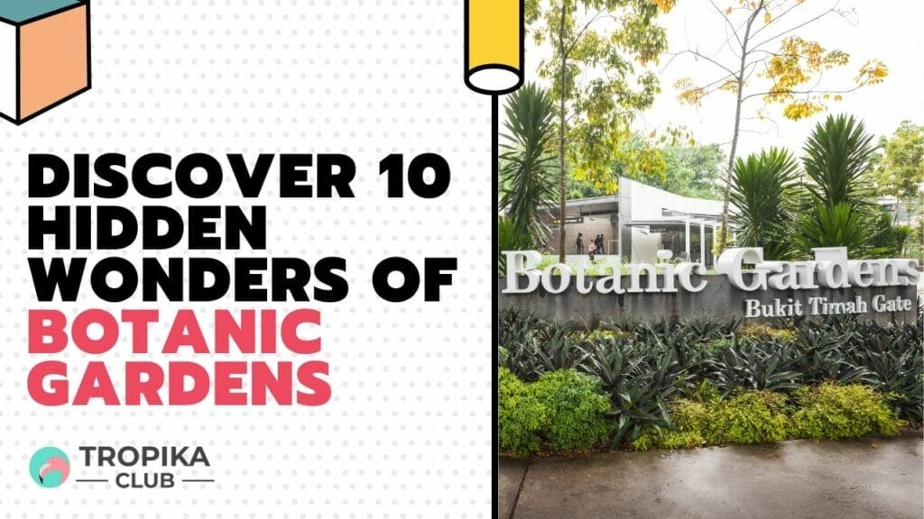 Discover Hidden Wonders of Botanic Gardens