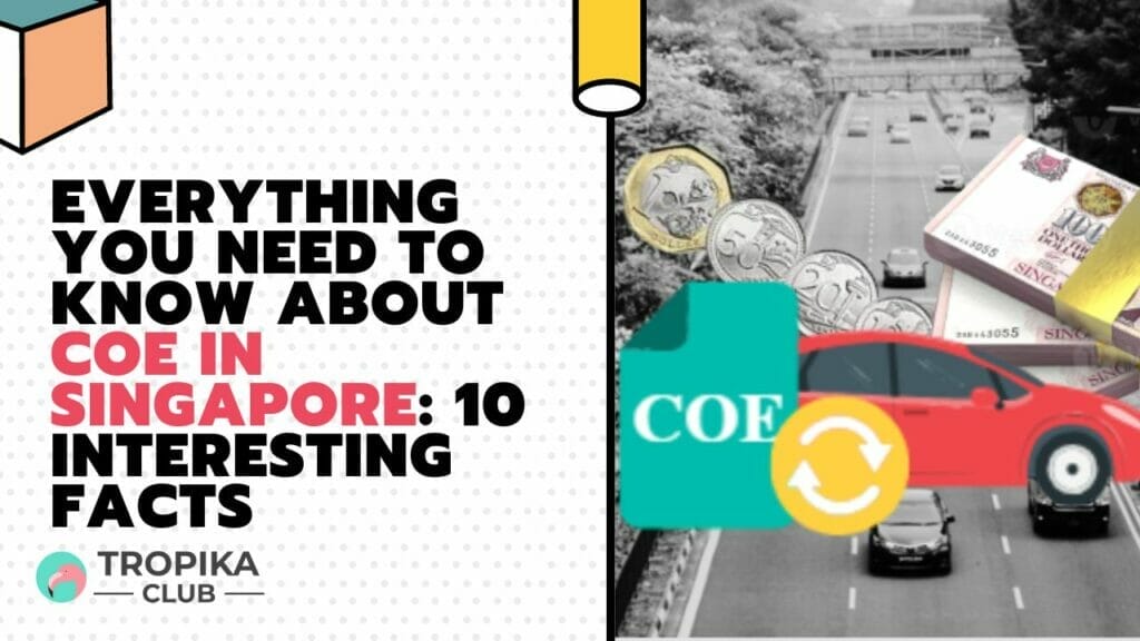 Everything You Need to Know About COE in Singapore: 10 Interesting Facts