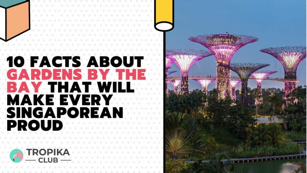 Facts About Gardens by the Bay That Will Make Every Singaporean Proud