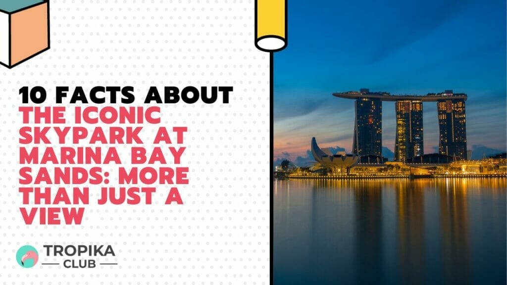 Facts About the Iconic SkyPark at Marina Bay Sands More Than Just a View