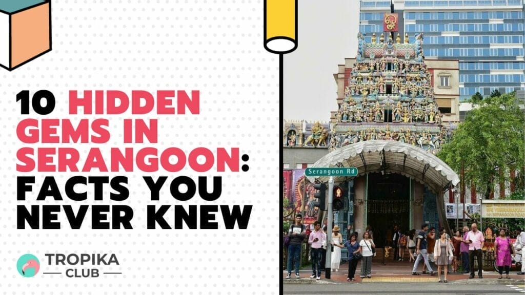 Hidden Gems in Serangoon Facts You Never Knew