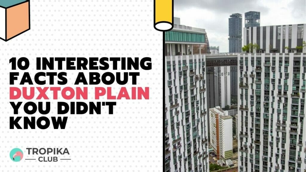 Interesting Facts about Duxton Plain You Didn't Know
